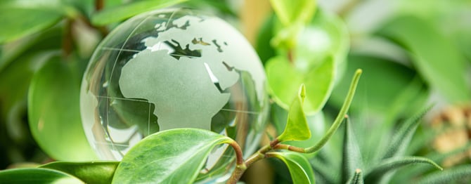 Glass globe resting on green leaves.